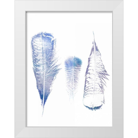 Multi Feather 1 White Modern Wood Framed Art Print by Lewis, Sheldon