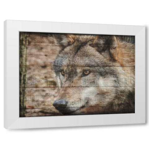 Alfa Wolf 2 White Modern Wood Framed Art Print by Lewis, Sheldon