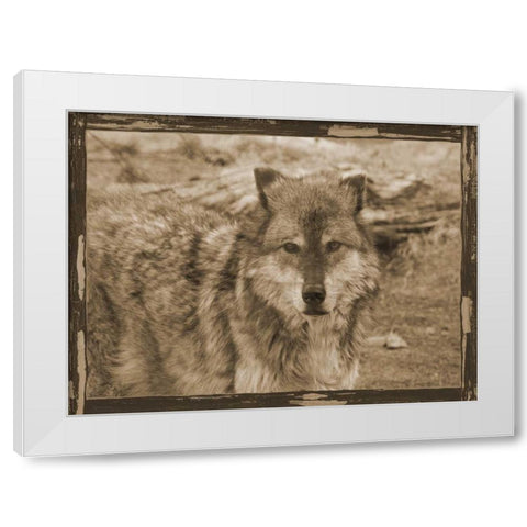 Wild Heart White Modern Wood Framed Art Print by Lewis, Sheldon