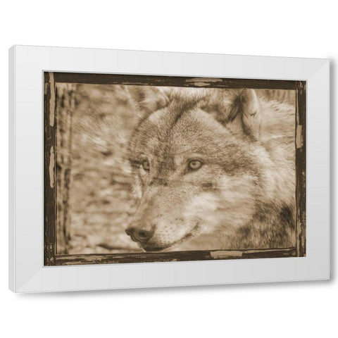 Wild Heart 2 White Modern Wood Framed Art Print by Lewis, Sheldon