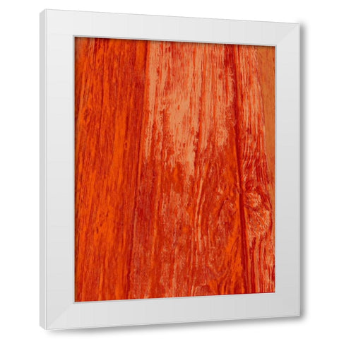 New Age Look White Modern Wood Framed Art Print by Lewis, Sheldon