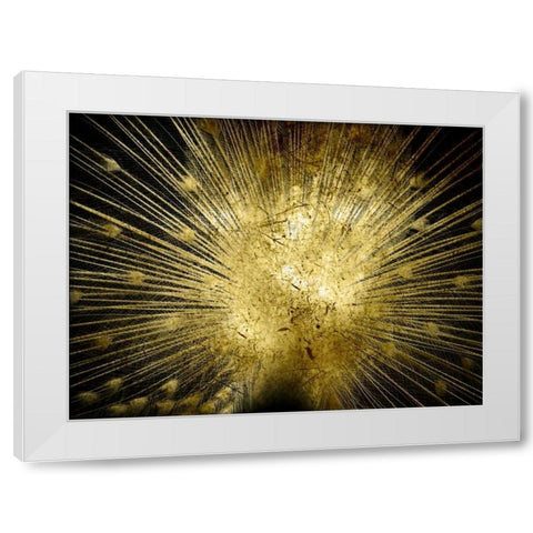 Golden Peacock White Modern Wood Framed Art Print by Lewis, Sheldon