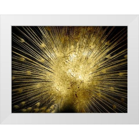Golden Peacock White Modern Wood Framed Art Print by Lewis, Sheldon