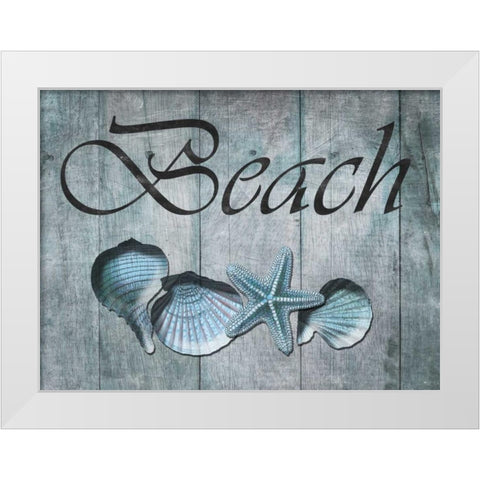 Beach Shells White Modern Wood Framed Art Print by Lewis, Sheldon