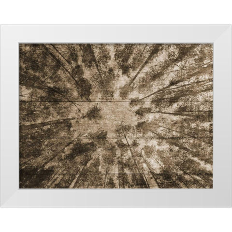 Up Into The Woods 2 White Modern Wood Framed Art Print by Lewis, Sheldon