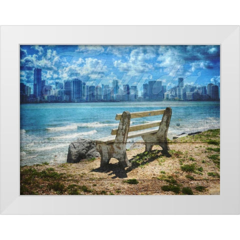 Florida White Modern Wood Framed Art Print by Lewis, Sheldon