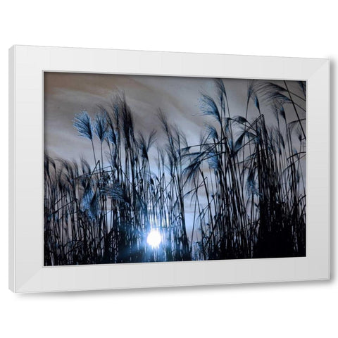 Blue Sunset White Modern Wood Framed Art Print by Lewis, Sheldon