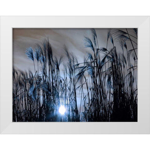 Blue Sunset White Modern Wood Framed Art Print by Lewis, Sheldon