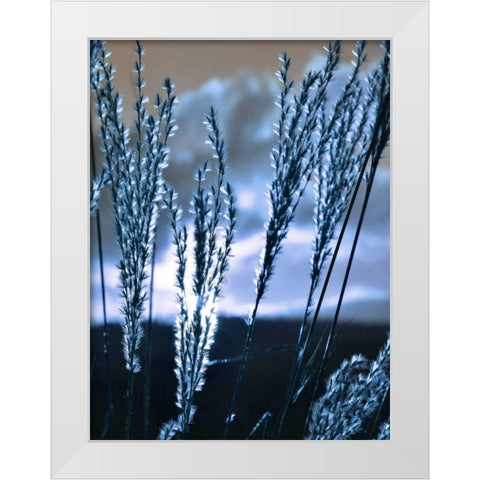 Blue Sunset 3 White Modern Wood Framed Art Print by Lewis, Sheldon