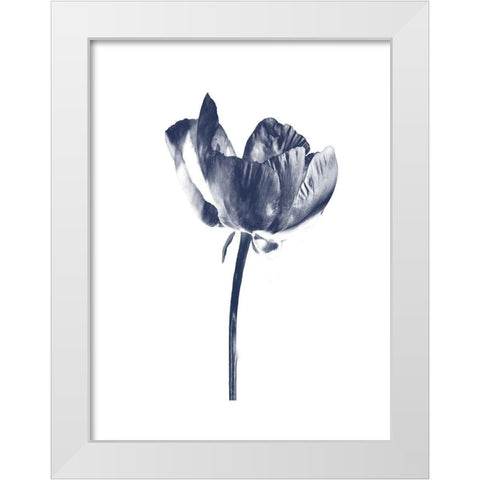 Rosita 2 White Modern Wood Framed Art Print by Lewis, Sheldon