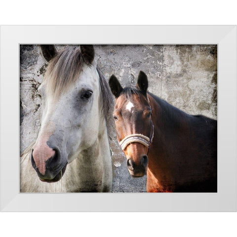 Togetherness White Modern Wood Framed Art Print by Lewis, Sheldon