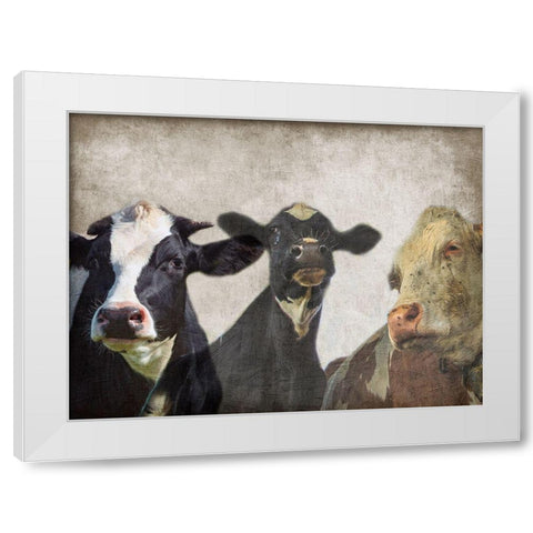 Selfie Family White Modern Wood Framed Art Print by Lewis, Sheldon