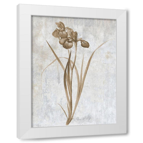 Earth Balance 2 White Modern Wood Framed Art Print by Lewis, Sheldon