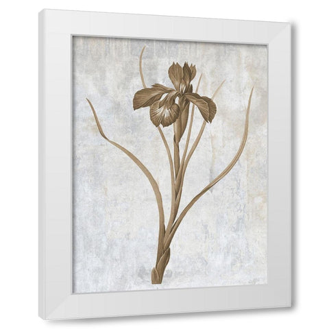 Earth Balance 3 White Modern Wood Framed Art Print by Lewis, Sheldon