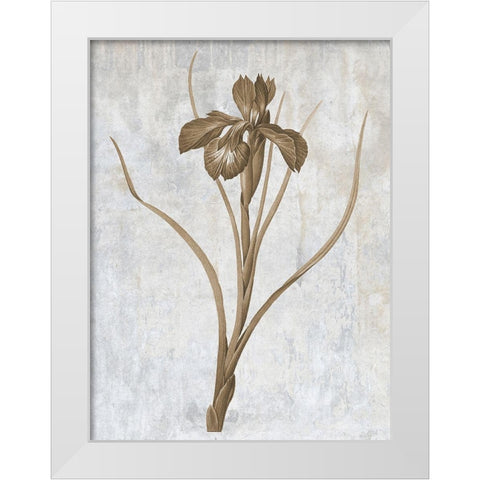 Earth Balance 3 White Modern Wood Framed Art Print by Lewis, Sheldon