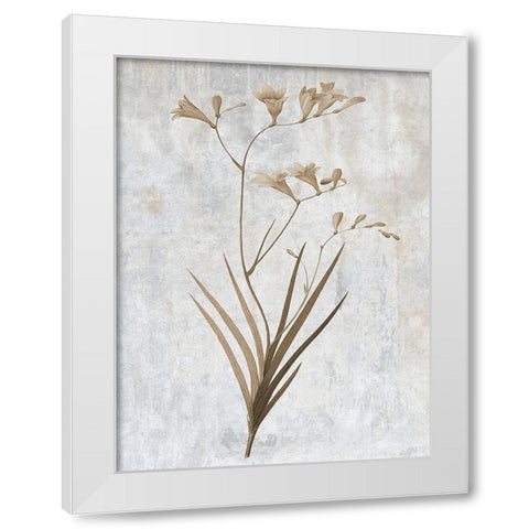 Earth Balance 4 White Modern Wood Framed Art Print by Lewis, Sheldon