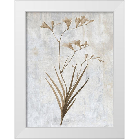 Earth Balance 4 White Modern Wood Framed Art Print by Lewis, Sheldon