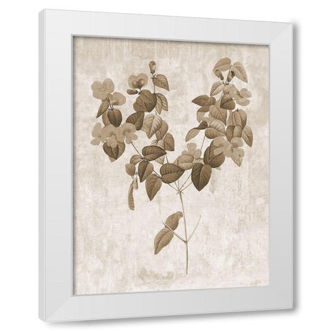 Earth Balance 6 White Modern Wood Framed Art Print by Lewis, Sheldon