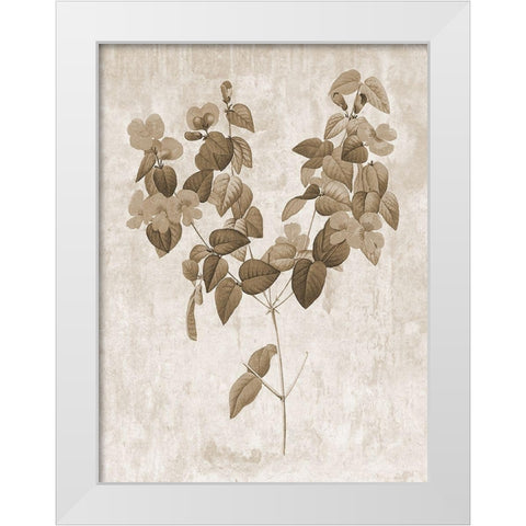 Earth Balance 6 White Modern Wood Framed Art Print by Lewis, Sheldon