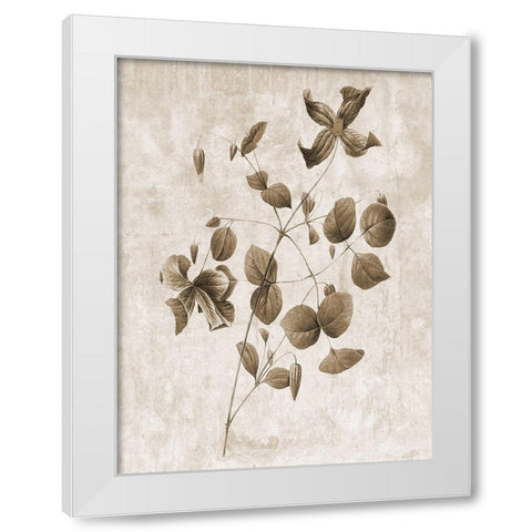 Earth Balance 8 White Modern Wood Framed Art Print by Lewis, Sheldon