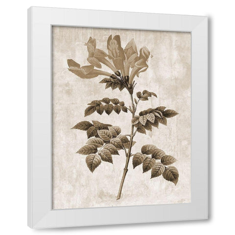 Earth Balance 9 White Modern Wood Framed Art Print by Lewis, Sheldon