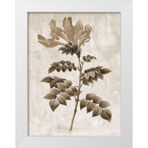 Earth Balance 9 White Modern Wood Framed Art Print by Lewis, Sheldon