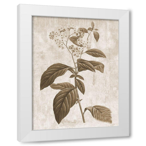 Earth Balance 10 White Modern Wood Framed Art Print by Lewis, Sheldon