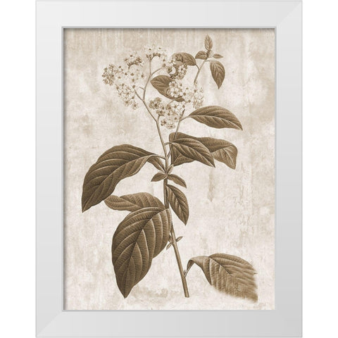 Earth Balance 10 White Modern Wood Framed Art Print by Lewis, Sheldon