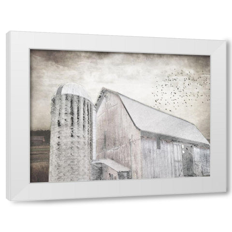 Grainhouse White Modern Wood Framed Art Print by Lewis, Sheldon