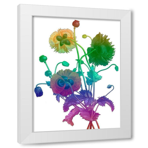 Color Bloom White Modern Wood Framed Art Print by Lewis, Sheldon
