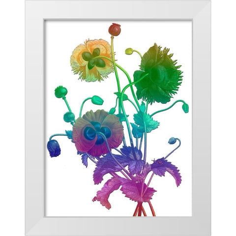 Color Bloom White Modern Wood Framed Art Print by Lewis, Sheldon
