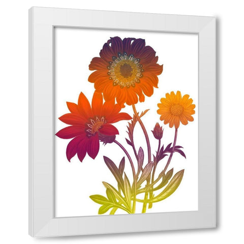 Color Bloom 2 White Modern Wood Framed Art Print by Lewis, Sheldon