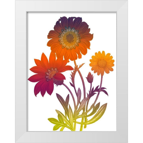 Color Bloom 2 White Modern Wood Framed Art Print by Lewis, Sheldon