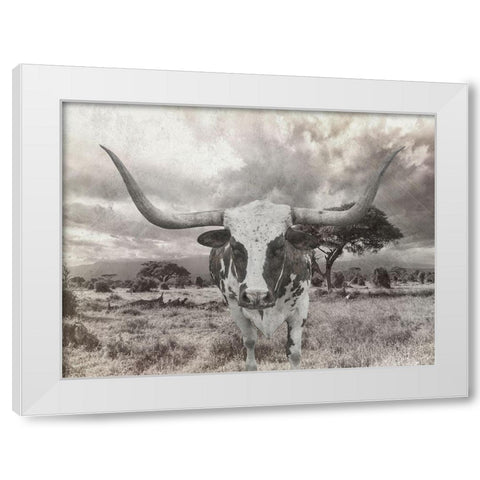 Steer White Modern Wood Framed Art Print by Lewis, Sheldon