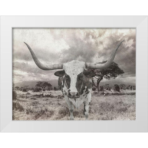 Steer White Modern Wood Framed Art Print by Lewis, Sheldon