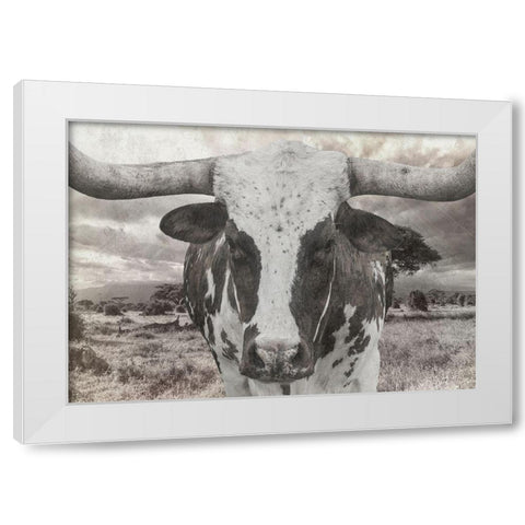 Steer White Modern Wood Framed Art Print by Lewis, Sheldon