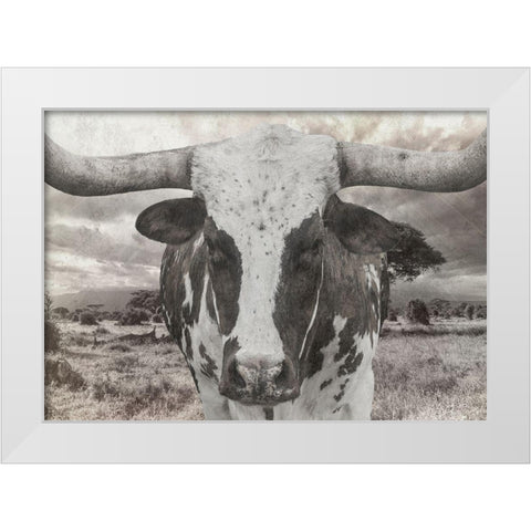 Steer White Modern Wood Framed Art Print by Lewis, Sheldon