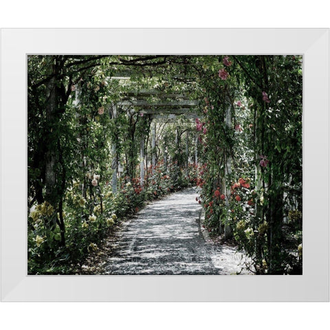 Vintage Garden White Modern Wood Framed Art Print by Lewis, Sheldon