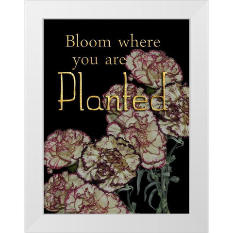 Full Bloom White Modern Wood Framed Art Print by Lewis, Sheldon