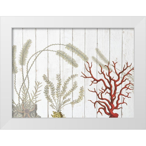 Cosatl Down Under White Modern Wood Framed Art Print by Lewis, Sheldon