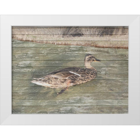 Water Duck White Modern Wood Framed Art Print by Lewis, Sheldon