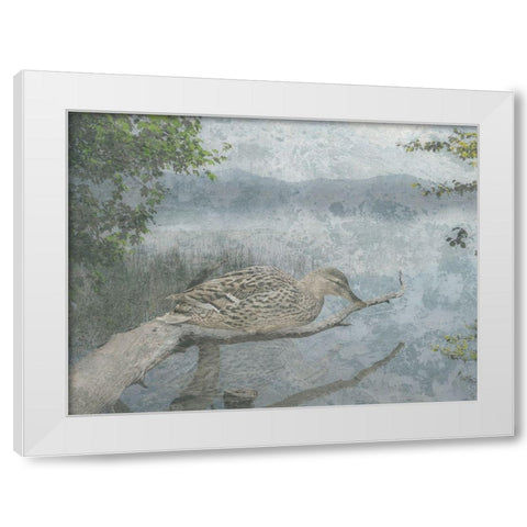 Sitting Duck White Modern Wood Framed Art Print by Lewis, Sheldon