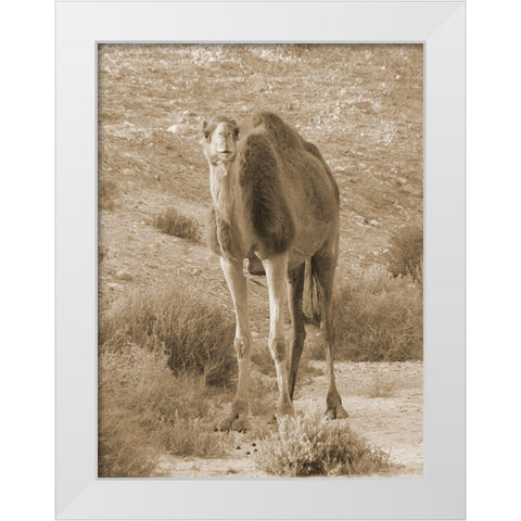 Desert Runner 2 White Modern Wood Framed Art Print by Lewis, Sheldon