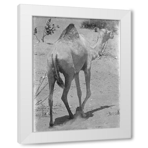 On My Way 1 White Modern Wood Framed Art Print by Lewis, Sheldon