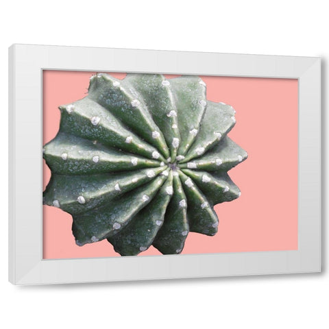 Cactus Bulb White Modern Wood Framed Art Print by Lewis, Sheldon