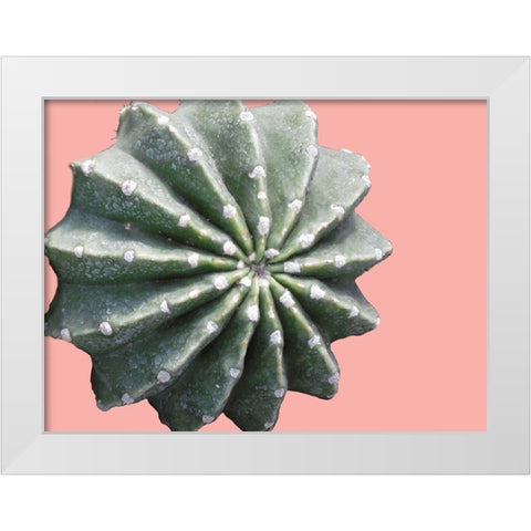 Cactus Bulb White Modern Wood Framed Art Print by Lewis, Sheldon