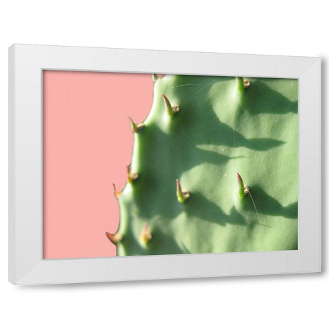 Cactus Flat White Modern Wood Framed Art Print by Lewis, Sheldon