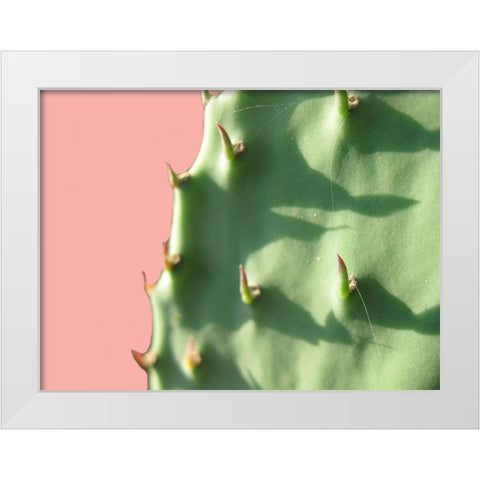 Cactus Flat White Modern Wood Framed Art Print by Lewis, Sheldon
