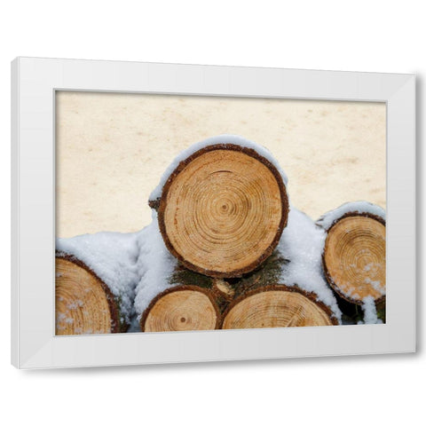 Lumberjack White Modern Wood Framed Art Print by Lewis, Sheldon