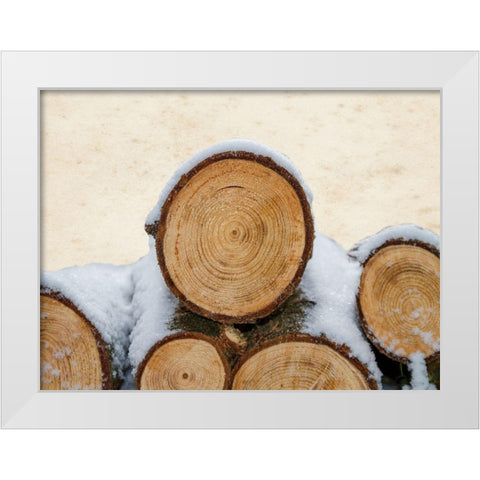 Lumberjack White Modern Wood Framed Art Print by Lewis, Sheldon